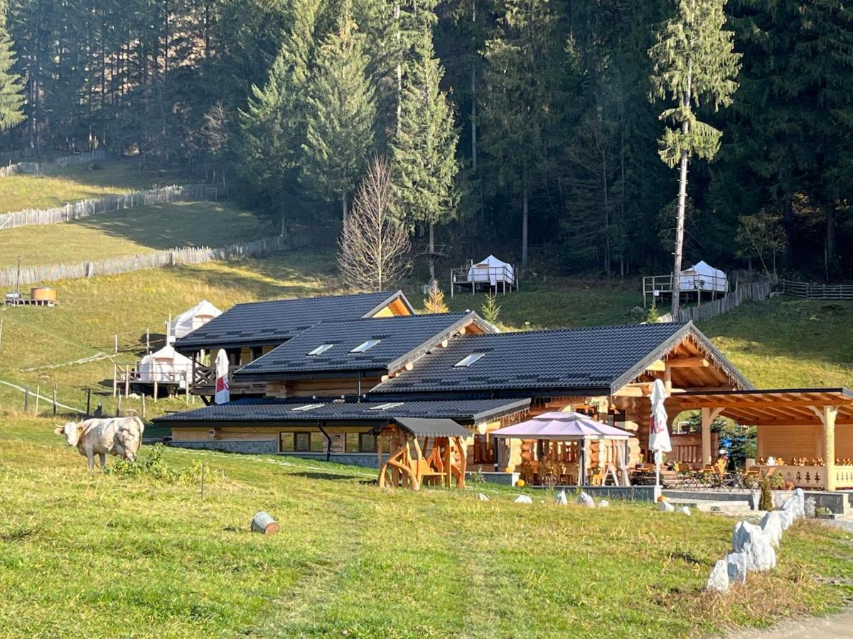 Pensiunea Mireasma Bucovinei Crucea Esterno foto