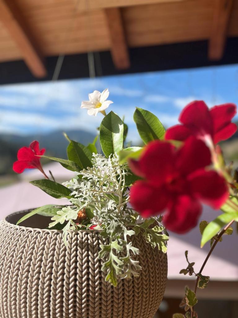 Pensiunea Mireasma Bucovinei Crucea Esterno foto