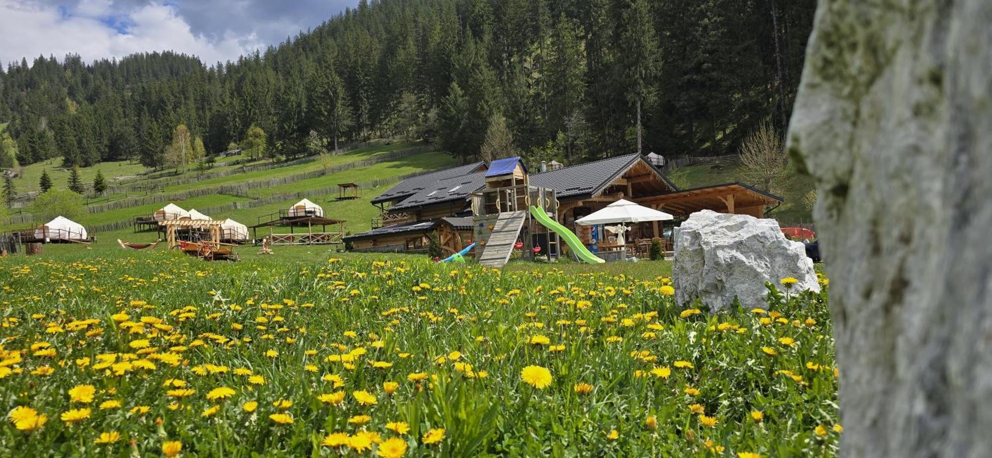Pensiunea Mireasma Bucovinei Crucea Esterno foto